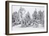 White Frost and Snow Covered Trees-null-Framed Photographic Print