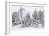 White Frost and Snow Covered Trees-null-Framed Photographic Print