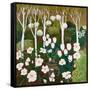 White Garden, 2013-Maggie Rowe-Framed Stretched Canvas