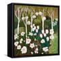 White Garden, 2013-Maggie Rowe-Framed Stretched Canvas