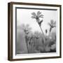 White Garden B&W-Andreas Stridsberg-Framed Giclee Print