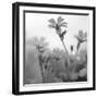 White Garden B&W-Andreas Stridsberg-Framed Giclee Print