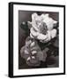 White Gardenias-Hornbuckle-Framed Art Print