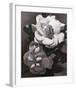 White Gardenias-Hornbuckle-Framed Art Print