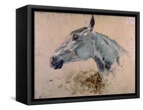 White 'Gazelle' Horse-Henri de Toulouse-Lautrec-Framed Stretched Canvas