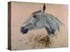 White 'Gazelle' Horse-Henri de Toulouse-Lautrec-Stretched Canvas