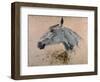 White 'Gazelle' Horse-Henri de Toulouse-Lautrec-Framed Art Print