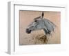 White 'Gazelle' Horse-Henri de Toulouse-Lautrec-Framed Art Print