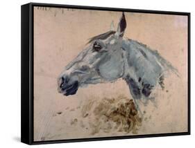 White 'Gazelle' Horse-Henri de Toulouse-Lautrec-Framed Stretched Canvas