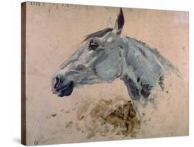 White 'Gazelle' Horse-Henri de Toulouse-Lautrec-Stretched Canvas