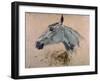 White 'Gazelle' Horse-Henri de Toulouse-Lautrec-Framed Art Print