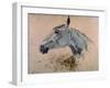 White 'Gazelle' Horse-Henri de Toulouse-Lautrec-Framed Art Print