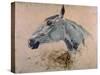 White 'Gazelle' Horse-Henri de Toulouse-Lautrec-Stretched Canvas