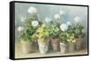 White Geraniums-Danhui Nai-Framed Stretched Canvas