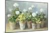 White Geraniums-Danhui Nai-Mounted Art Print