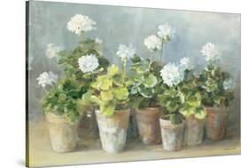 White Geraniums-Danhui Nai-Stretched Canvas