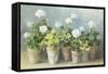 White Geraniums-Danhui Nai-Framed Stretched Canvas