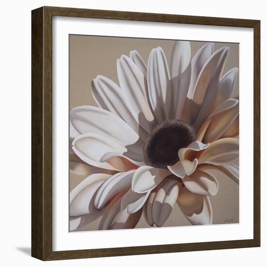 White Gerbera-Carolina Alotus-Framed Giclee Print