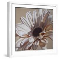 White Gerbera-Carolina Alotus-Framed Giclee Print