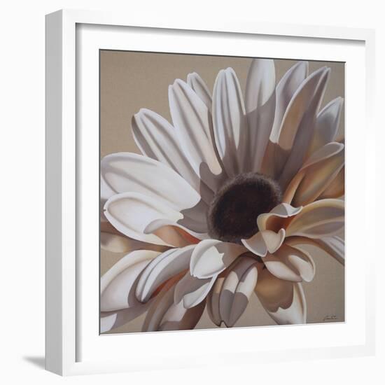 White Gerbera-Carolina Alotus-Framed Giclee Print