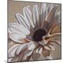 White Gerbera-Carolina Alotus-Mounted Giclee Print