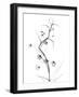 White Globe Lily-Albert Koetsier-Framed Art Print