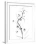 White Globe Lily-Albert Koetsier-Framed Art Print