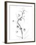 White Globe Lily-Albert Koetsier-Framed Art Print