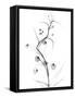 White Globe Lily-Albert Koetsier-Framed Stretched Canvas