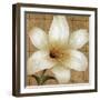 White Gold I-Daphne Brissonnet-Framed Art Print