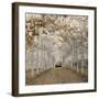 White Gold-Assaf Frank-Framed Giclee Print