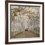 White Gold-Assaf Frank-Framed Giclee Print