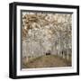 White Gold-Assaf Frank-Framed Giclee Print