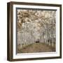 White Gold-Assaf Frank-Framed Giclee Print