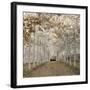 White Gold-Assaf Frank-Framed Giclee Print