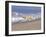 White Golden Retriever Running Along Pacific Beach-Lynn M^ Stone-Framed Photographic Print