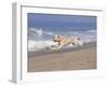 White Golden Retriever Running Along Pacific Beach-Lynn M^ Stone-Framed Photographic Print