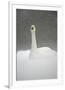 White Goose During Snow Fall-null-Framed Premium Giclee Print