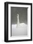 White Goose During Snow Fall-null-Framed Art Print