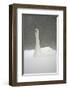 White Goose During Snow Fall-null-Framed Art Print