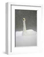 White Goose During Snow Fall-null-Framed Art Print