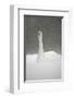 White Goose During Snow Fall-null-Framed Art Print