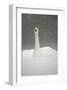 White Goose During Snow Fall-null-Framed Art Print