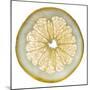 White Grapefruit Slice-Steve Gadomski-Mounted Photographic Print