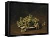 White Grapes on a Plate-Henri Fantin-Latour-Framed Stretched Canvas