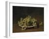 White Grapes on a Plate-Henri Fantin-Latour-Framed Giclee Print