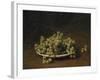 White Grapes on a Plate-Ignace Henri Jean Fantin-Latour-Framed Giclee Print