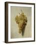 White Grapes-Louis-Léopold Boilly-Framed Giclee Print