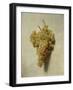 White Grapes-Louis-Léopold Boilly-Framed Giclee Print