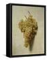 White Grapes-Louis-Léopold Boilly-Framed Stretched Canvas